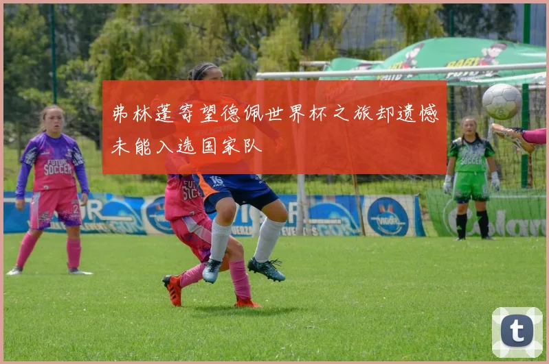 弗林蓬寄望德佩世界杯之旅却遗憾未能入选国家队