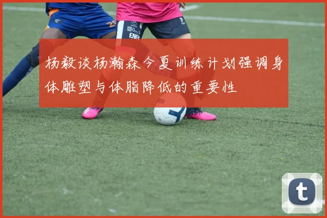 杨毅谈杨瀚森今夏训练计划强调身体雕塑与体脂降低的重要性
